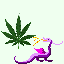 TokersBall_CDXX's Avatar
