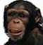 Mr_Munkey's Avatar