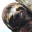 Beengie's Avatar