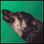 phrodu's Avatar