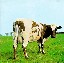 The_Oldtimer's Avatar