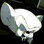 recpack's Avatar