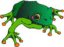 0pal_t0ad's Avatar