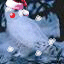 manavo's Avatar