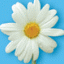 nuria's Avatar