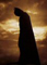 Tokolosi's Avatar