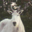 Devion's Avatar