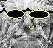 stilekid007's Avatar