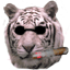 -SUBS-Lenos's Avatar