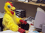 Rubber Chicken's Avatar