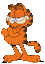 kitty500cat's Avatar