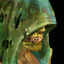 Goat Spirit's Avatar