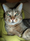 josep's Avatar