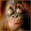 eyeRmonkey's Avatar