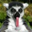 TirRaven's Avatar