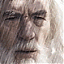 {IP}Gil-Galad's Avatar