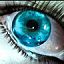 Warad's Avatar