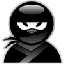 .NetNinja's Avatar