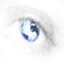 ZenDisaster's Avatar