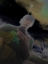 DnD.ECS.Developer's Avatar
