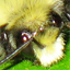 wornways's Avatar