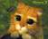 Aash's Avatar