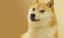 o0NT210o's Avatar