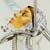 Chipcrap's Avatar