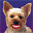 RebelDev's Avatar