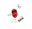 DavidHooper's Avatar