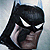 Batman & Robin's Avatar