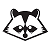 raccoon